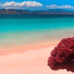 wisata pantai di lombok