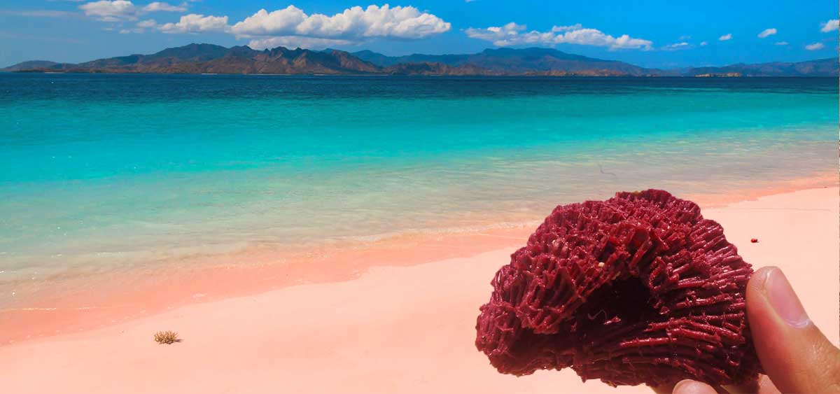 wisata pantai di lombok