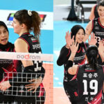 Jadwal Liga Voli Korea