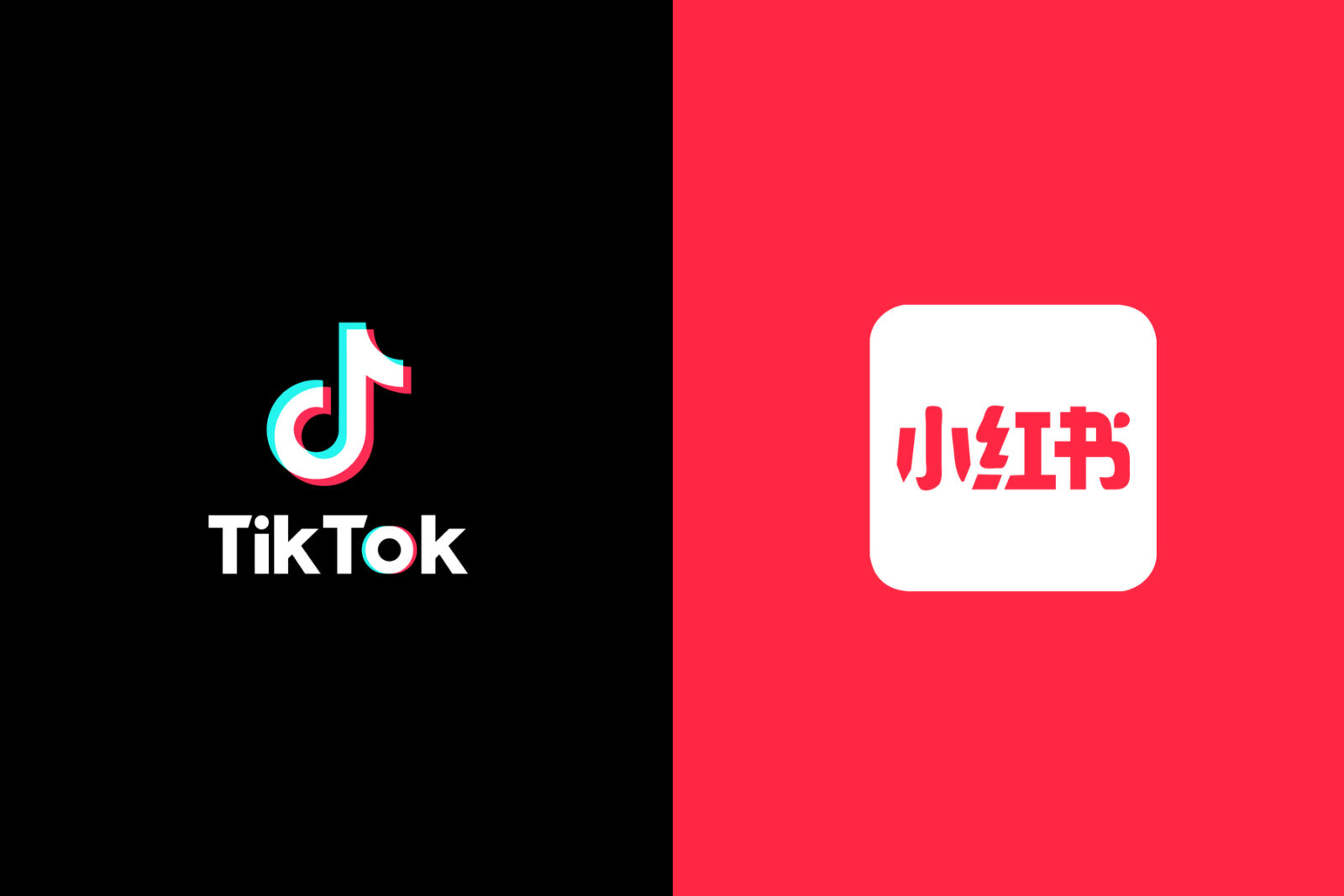 TikTok vs RedNote