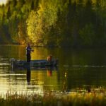 Umpan Mancing Ikan Gabus