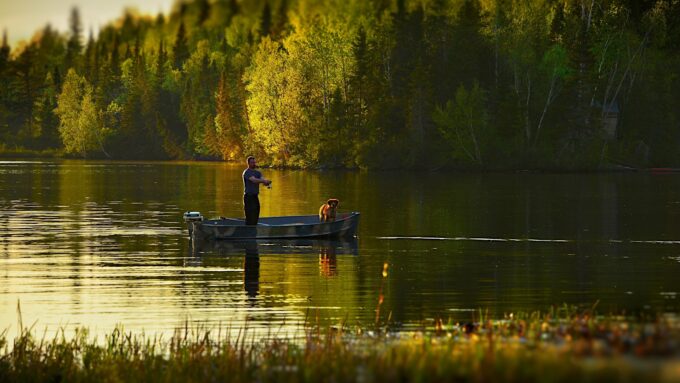 Umpan Mancing Ikan Gabus