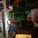 Seorang kepala sekolah berinisial BI di Hulu Sungai Tengah, Kalimantan Selatan (Kalsel) tewas saat hendak melamar janda muda inisial RM usia 22 tahun.