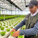 Menjadi Petani Ternyata Bisa Jadi Peluang Karier Menjanjika