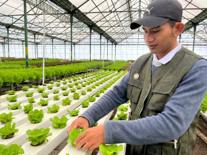 Menjadi Petani Ternyata Bisa Jadi Peluang Karier Menjanjika