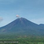 Gunung Semeru erupsi pada Sabtu (25/1/2025) pagi.