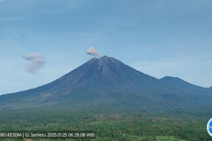 Gunung Semeru erupsi pada Sabtu (25/1/2025) pagi.