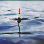 umpan mancing ikan mas