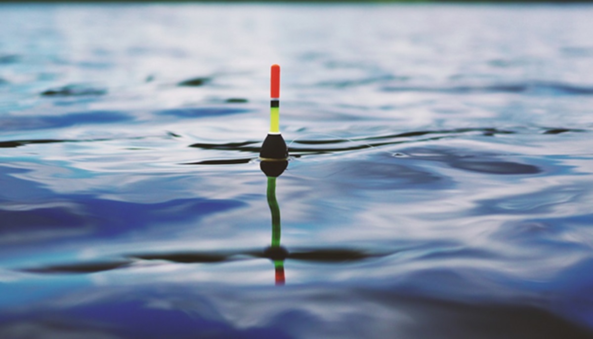 umpan mancing ikan mas