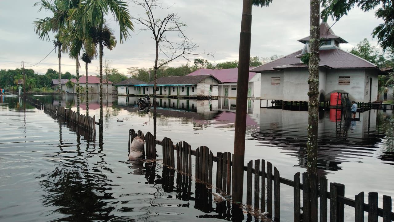 BNPB mencatat sejumlah bencana hingga pekan terakhir Januari 2025, yang didominasi bencana hidrometeorologi basah, seperti banjir.