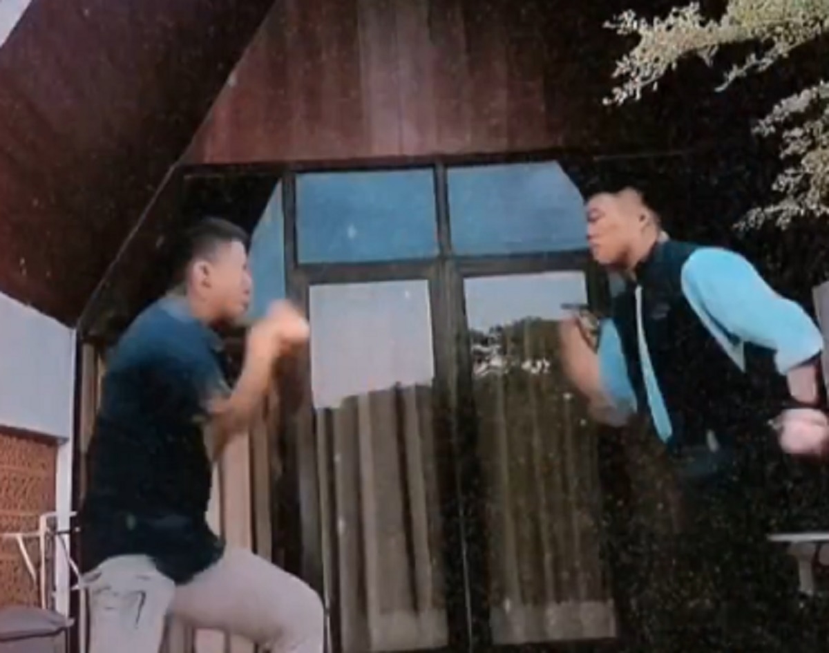 Efek kungfu