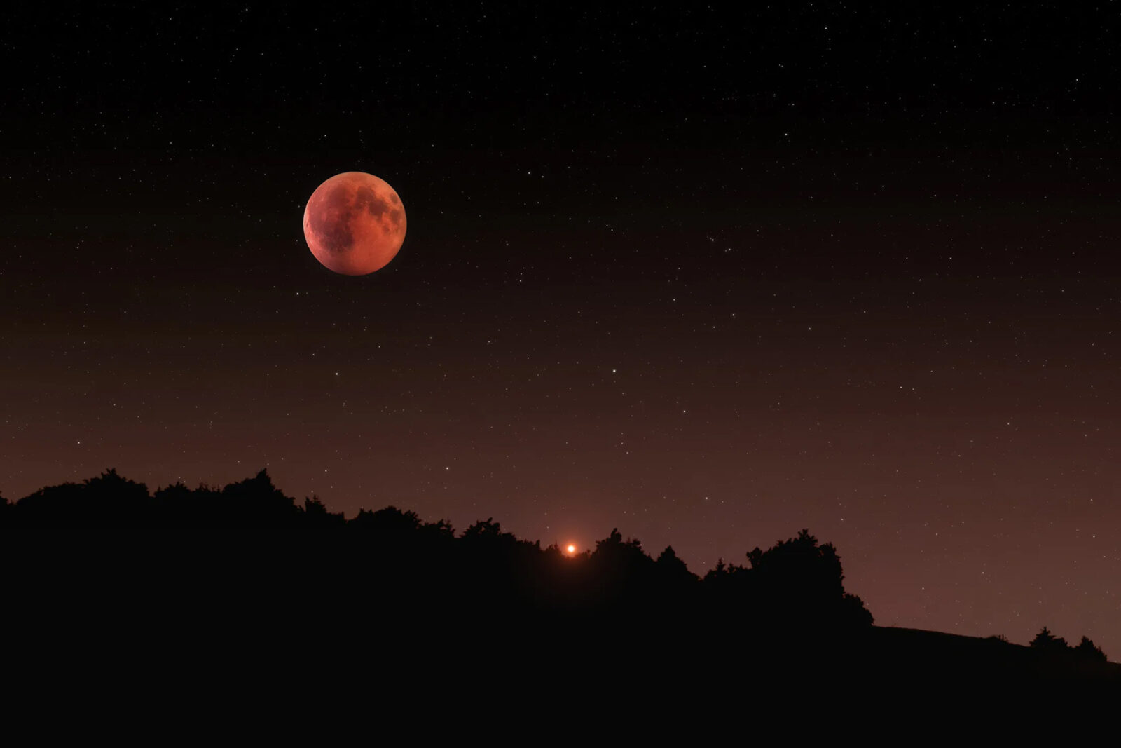 Gerhana Bulan Total Maret 2025 Apakah Bisa Dilihat dari Indonesia?