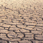 Ilustrasi Kemarau Indonesia 2025