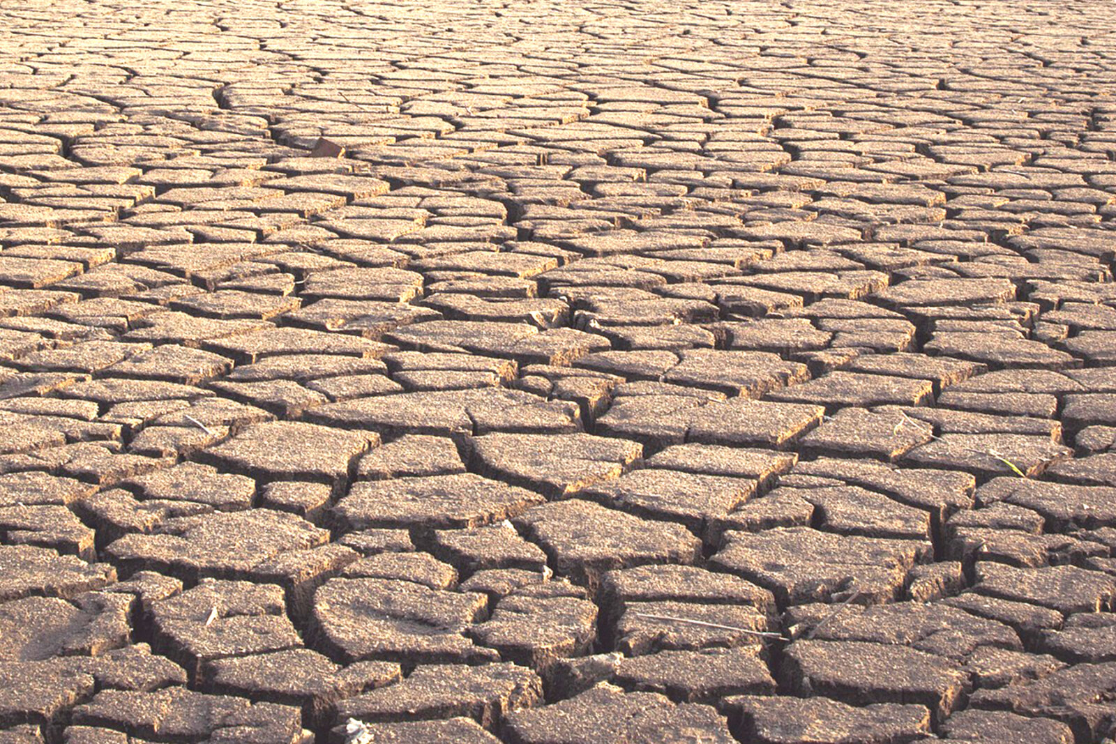 Ilustrasi Kemarau Indonesia 2025