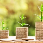 Jenis-Jenis Reksadana: Pengertian, Keuntungan, dan Risikonya