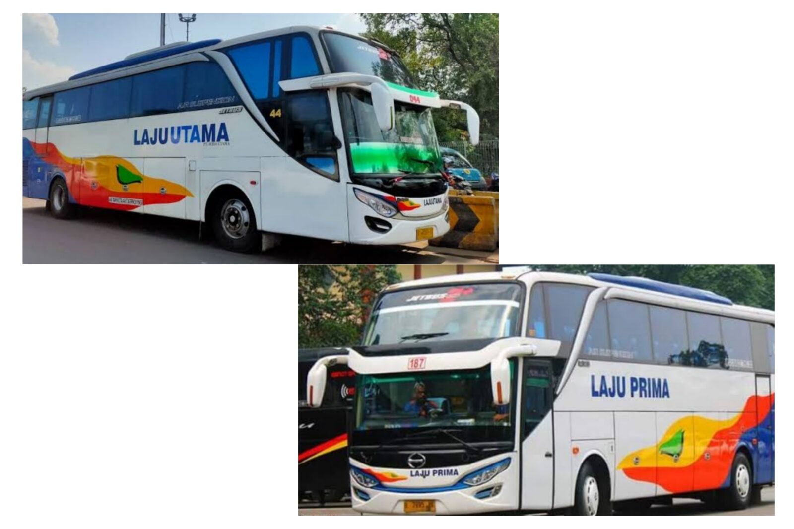 Foto bus Laju Utama dan Laju Prima