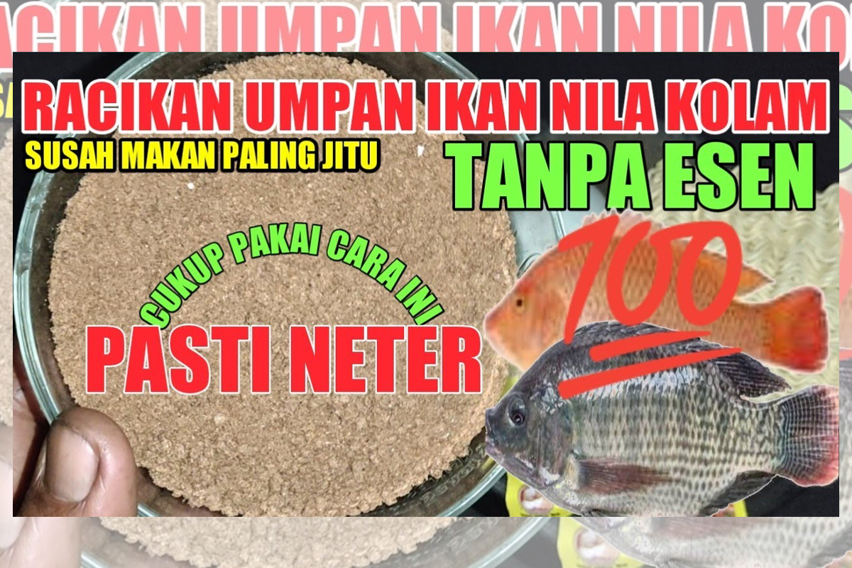 Umpan Mancing Kolam