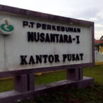 PTPN I Regional 2 Disorot