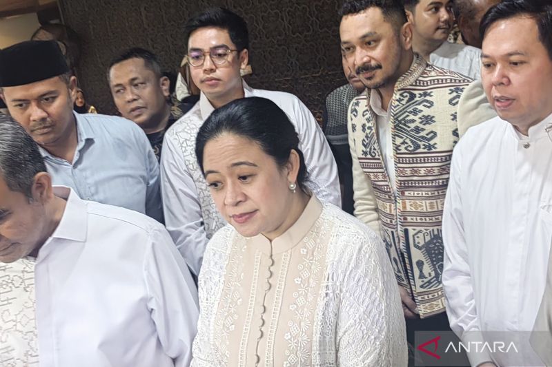 Megawati titip pesan untuk Prabowo melalui Didit Hediprasetyo saat Lebaran 2025. Puan Maharani ungkap pesan tersebut