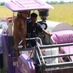 Gubernur Banten Andra Soni menargetkan produksi padi 2025 naik dua kali lipat dengan peningkatan kesejahteraan petani dan sistem irigasi