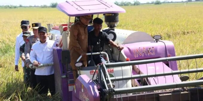 Gubernur Banten Andra Soni menargetkan produksi padi 2025 naik dua kali lipat dengan peningkatan kesejahteraan petani dan sistem irigasi