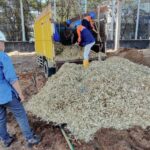 PLN EPI digitalisasi rantai pasok biomassa untuk PLTU, dorong transisi energi bersih berbasis masyarakat menuju Net Zero Emissions 2060