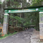 Heboh Karcis TNGHS Bogor, Harga Tertutup Stiker Bikin Netizen Bingung