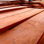 Kayu Mahoni: Pohon Serbaguna dengan Segudang Manfaat dan Nilai Ekonomis Tinggi