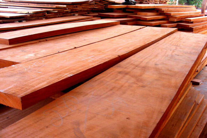 Kayu Mahoni: Pohon Serbaguna dengan Segudang Manfaat dan Nilai Ekonomis Tinggi