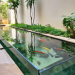 kolam ikan minimalis