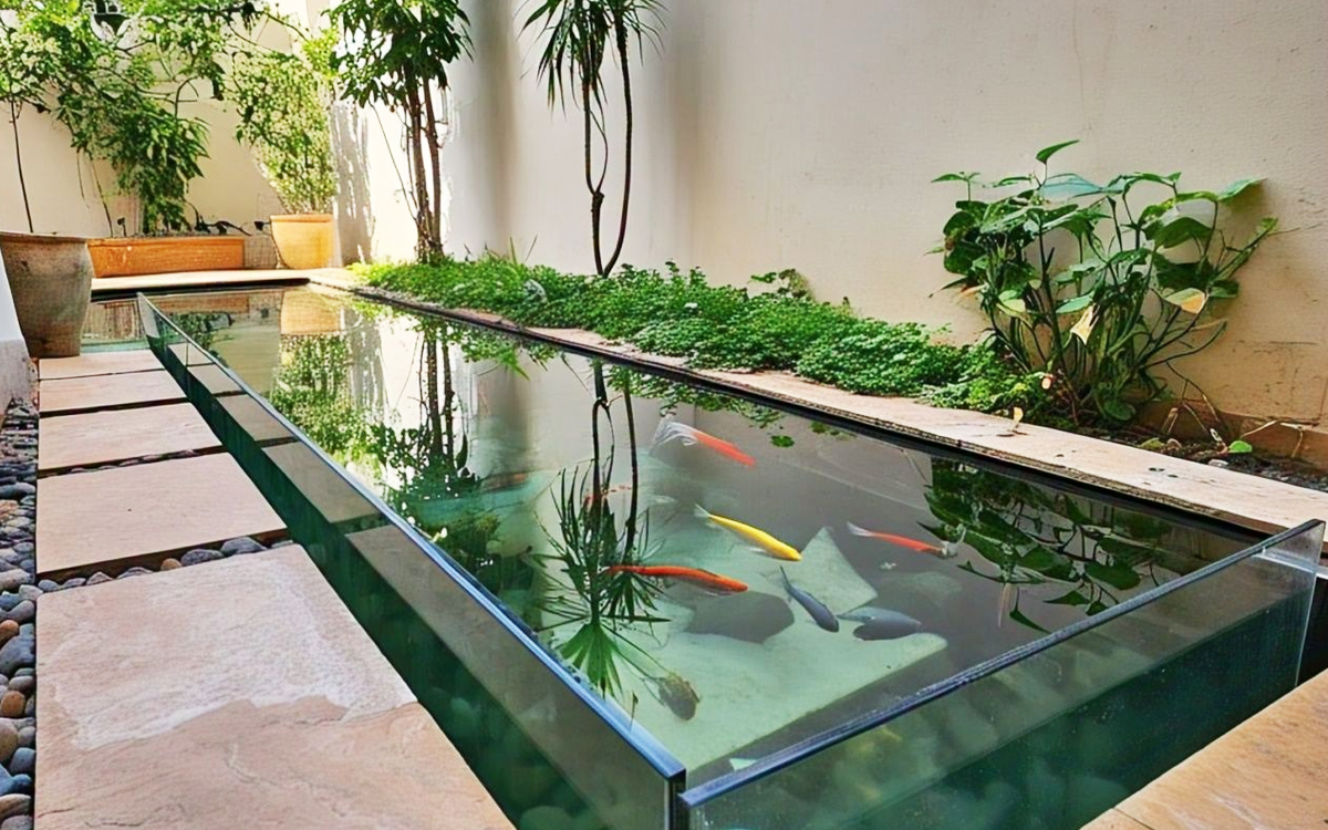 kolam ikan minimalis