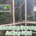 Aviary Mini Alami