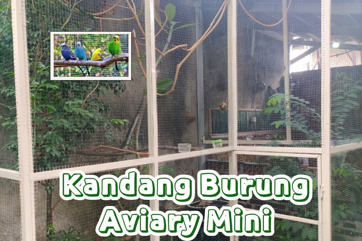 Aviary Mini Alami