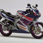 Motor Yamaha TMZ150
