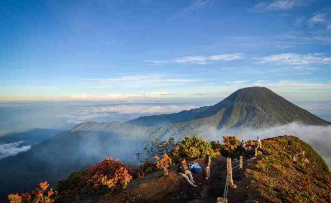 TNBTS Perpanjang Penutupan Gunung Gede Pangrango hingga 7 April 2025