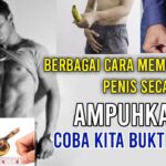 Cara Alami Membesarkan Penis