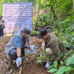 PLN EPI Tanam 500 Pohon Buah di Gunung Aseupan, Bukti Cinta Lingkungan Nyata di Hari Lingkungan Hidup