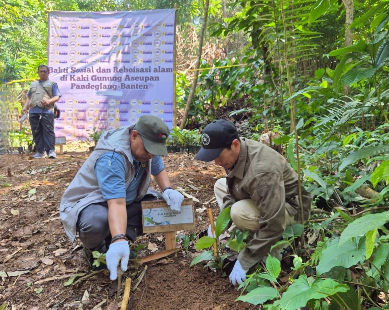 PLN EPI Tanam 500 Pohon Buah di Gunung Aseupan, Bukti Cinta Lingkungan Nyata di Hari Lingkungan Hidup