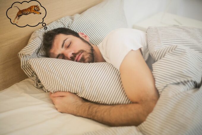 Mimpi Bertemu Harimau