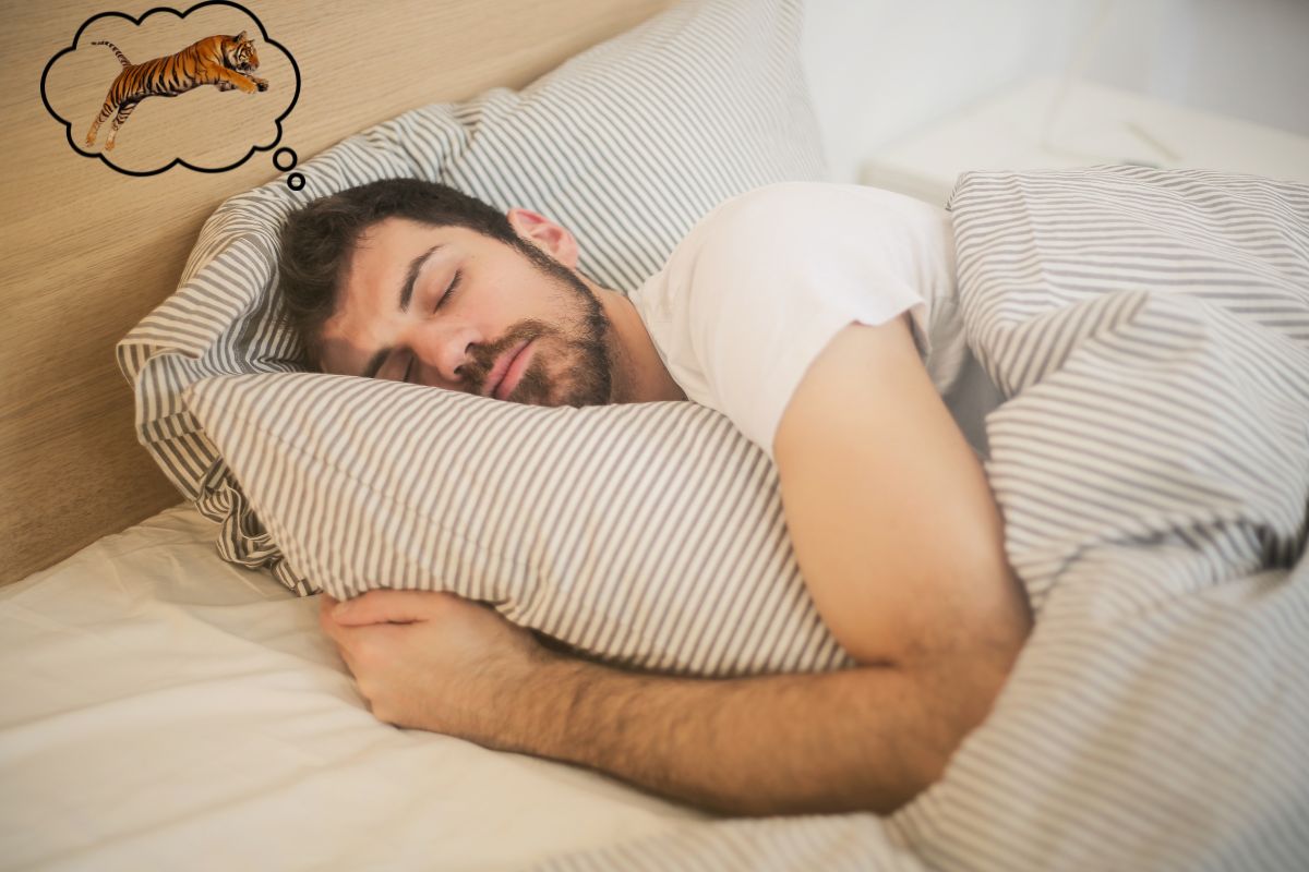 Mimpi Bertemu Harimau