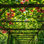 tanaman rambat kanopi