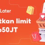 Gaya Hidup Kekinian dan Risiko Paylater di Kalangan Anak Muda Indonesia