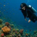 Wisata Terumbu Karang