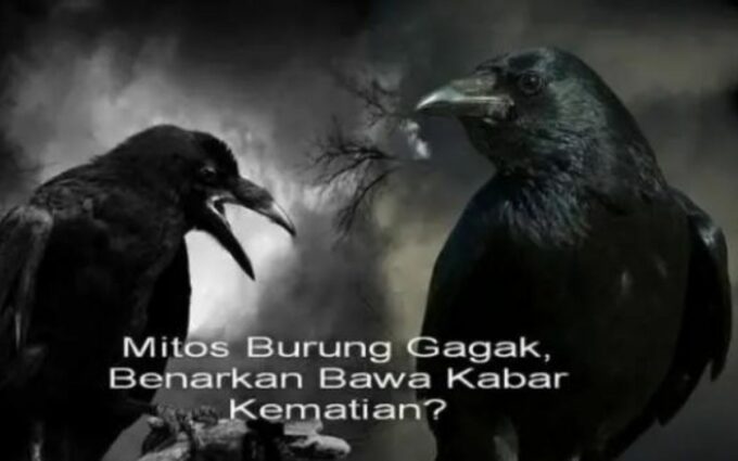 Apa iya burung gagak berkaitan dengan kematian?