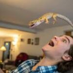 Binatang Pertanda Mitos Jawa Diyakini sampai Sekarang