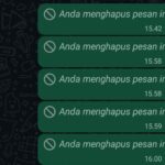 3 Cara Melihat Pesan WhatsApp yang Sudah Dihapus Anti Ribet dan Gak Bikin Penasaran
