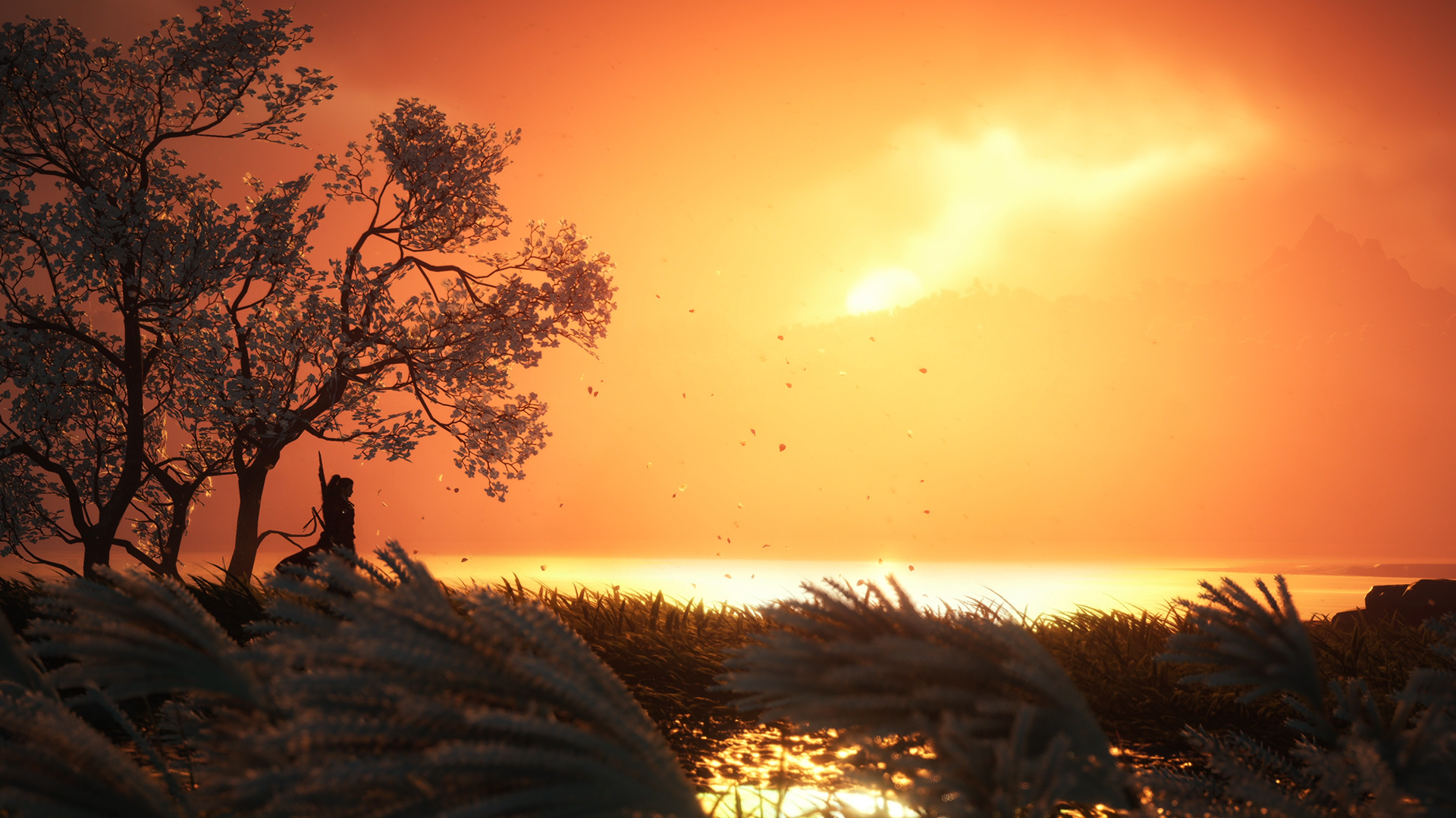 Where Winds Meet