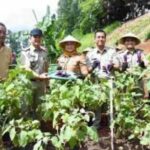 Duren Sawit dan BKT di Jaktim Bakal Disulap jadi Kawasan Urban Farming
