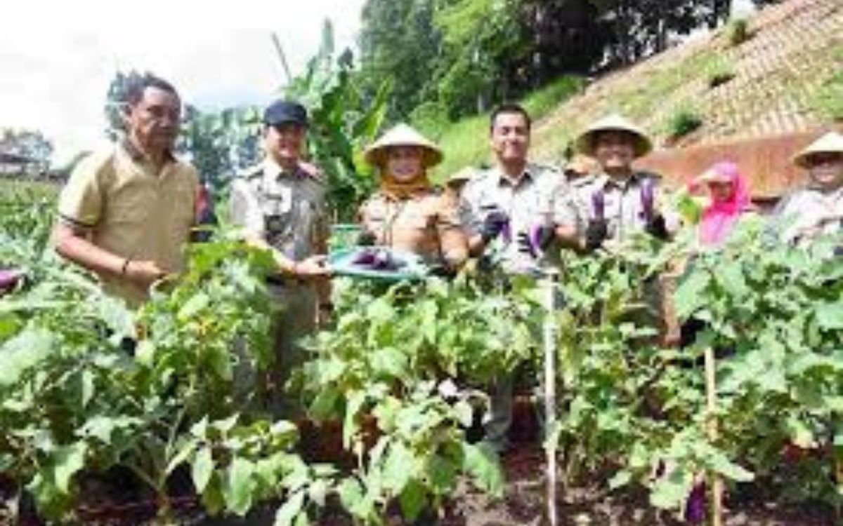Duren Sawit dan BKT di Jaktim Bakal Disulap jadi Kawasan Urban Farming