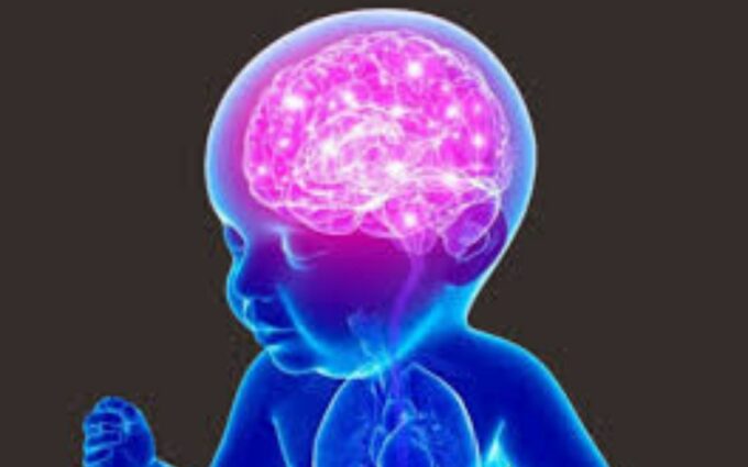 Alasan Kenangan saat Bayi Tidak Bisa Diingat